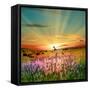 Sunset Is In The Field-nadiya_sergey-Framed Stretched Canvas