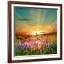 Sunset Is In The Field-nadiya_sergey-Framed Art Print