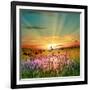 Sunset Is In The Field-nadiya_sergey-Framed Art Print