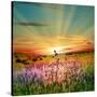 Sunset Is In The Field-nadiya_sergey-Stretched Canvas