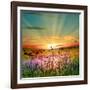 Sunset Is In The Field-nadiya_sergey-Framed Art Print