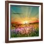 Sunset Is In The Field-nadiya_sergey-Framed Art Print