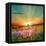 Sunset Is In The Field-nadiya_sergey-Framed Stretched Canvas