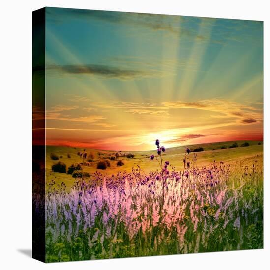 Sunset Is In The Field-nadiya_sergey-Stretched Canvas