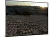 Sunset, Jewish Cemetery, Mount of Olives, Jerusalem, Israel, Middle East-Christian Kober-Mounted Photographic Print