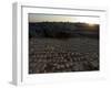 Sunset, Jewish Cemetery, Mount of Olives, Jerusalem, Israel, Middle East-Christian Kober-Framed Photographic Print