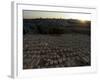Sunset, Jewish Cemetery, Mount of Olives, Jerusalem, Israel, Middle East-Christian Kober-Framed Photographic Print
