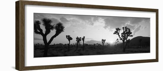 Sunset, Joshua Tree Park, California, USA-null-Framed Photographic Print