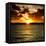 Sunset Key West - Florida-Philippe Hugonnard-Framed Stretched Canvas