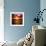 Sunset Key West - Florida-Philippe Hugonnard-Framed Photographic Print displayed on a wall