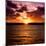 Sunset Key West - Florida-Philippe Hugonnard-Mounted Photographic Print