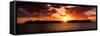 Sunset Key West - Florida-Philippe Hugonnard-Framed Stretched Canvas