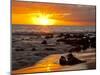 Sunset, Kihei, Maui, Hawaii, USA-Cathy & Gordon Illg-Mounted Premium Photographic Print