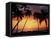 Sunset, Kohala Coast, Island of Hawaii, Hawaiian Islands, USA-null-Framed Stretched Canvas