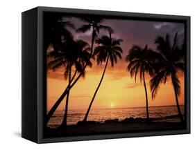 Sunset, Kohala Coast, Island of Hawaii, Hawaiian Islands, USA-null-Framed Stretched Canvas