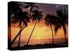Sunset, Kohala Coast, Island of Hawaii, Hawaiian Islands, USA-null-Stretched Canvas