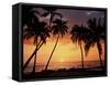 Sunset, Kohala Coast, Island of Hawaii, Hawaiian Islands, USA-null-Framed Stretched Canvas