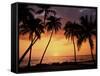 Sunset, Kohala Coast, Island of Hawaii, Hawaiian Islands, USA-null-Framed Stretched Canvas