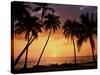 Sunset, Kohala Coast, Island of Hawaii, Hawaiian Islands, USA-null-Stretched Canvas