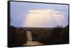 Sunset, Kruger National Park, South Africa, Africa-Christian Kober-Framed Stretched Canvas