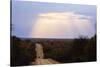 Sunset, Kruger National Park, South Africa, Africa-Christian Kober-Stretched Canvas