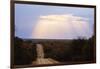 Sunset, Kruger National Park, South Africa, Africa-Christian Kober-Framed Photographic Print