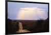 Sunset, Kruger National Park, South Africa, Africa-Christian Kober-Framed Photographic Print