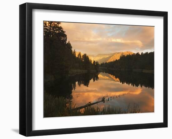Sunset, Lake Matheson and Southern Alps, Westland, South Island, New Zealand, Pacific-Schlenker Jochen-Framed Photographic Print