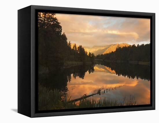 Sunset, Lake Matheson and Southern Alps, Westland, South Island, New Zealand, Pacific-Schlenker Jochen-Framed Stretched Canvas