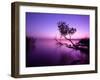 Sunset Lake. this Photo Make in Hungary. Sunset Whit Balaton-hofhauser-Framed Photographic Print