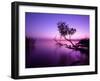 Sunset Lake. this Photo Make in Hungary. Sunset Whit Balaton-hofhauser-Framed Photographic Print