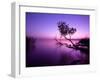 Sunset Lake. this Photo Make in Hungary. Sunset Whit Balaton-hofhauser-Framed Photographic Print