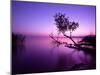 Sunset Lake. this Photo Make in Hungary. Sunset Whit Balaton-hofhauser-Mounted Photographic Print