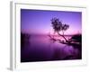 Sunset Lake. this Photo Make in Hungary. Sunset Whit Balaton-hofhauser-Framed Photographic Print