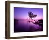 Sunset Lake. this Photo Make in Hungary. Sunset Whit Balaton-hofhauser-Framed Photographic Print