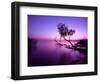 Sunset Lake. this Photo Make in Hungary. Sunset Whit Balaton-hofhauser-Framed Photographic Print