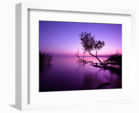 Sunset Lake. this Photo Make in Hungary. Sunset Whit Balaton-hofhauser-Framed Photographic Print