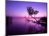 Sunset Lake. this Photo Make in Hungary. Sunset Whit Balaton-hofhauser-Mounted Photographic Print