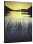 sunset, Lake Wenatchee, Wenatchee National Forest, Washington, USA-Charles Gurche-Stretched Canvas