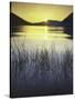 sunset, Lake Wenatchee, Wenatchee National Forest, Washington, USA-Charles Gurche-Stretched Canvas