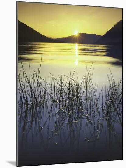 sunset, Lake Wenatchee, Wenatchee National Forest, Washington, USA-Charles Gurche-Mounted Premium Photographic Print