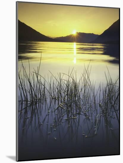 sunset, Lake Wenatchee, Wenatchee National Forest, Washington, USA-Charles Gurche-Mounted Photographic Print