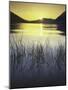 sunset, Lake Wenatchee, Wenatchee National Forest, Washington, USA-Charles Gurche-Mounted Photographic Print