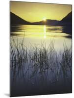 sunset, Lake Wenatchee, Wenatchee National Forest, Washington, USA-Charles Gurche-Mounted Photographic Print