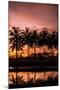 Sunset Landscape Creating an Orange and Pink Sky with the Reflection of Palm Trees in Water-Harshvardhan Sekhsaria-Mounted Photographic Print