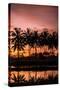 Sunset Landscape Creating an Orange and Pink Sky with the Reflection of Palm Trees in Water-Harshvardhan Sekhsaria-Stretched Canvas