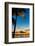 Sunset Landscape - Miami - Florida-Philippe Hugonnard-Framed Photographic Print