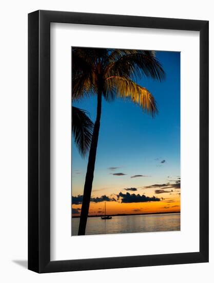 Sunset Landscape - Miami - Florida-Philippe Hugonnard-Framed Photographic Print