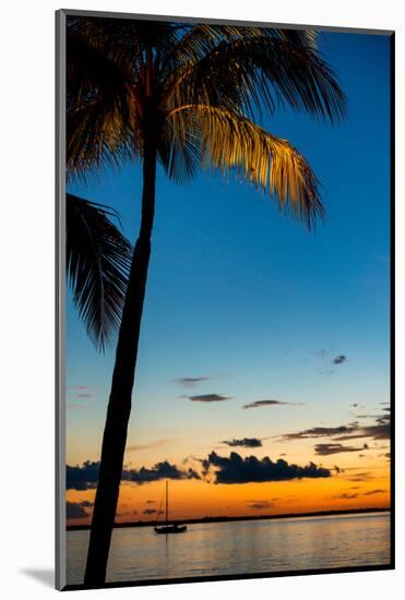 Sunset Landscape - Miami - Florida-Philippe Hugonnard-Mounted Photographic Print