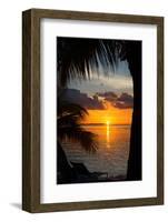 Sunset Landscape - Miami - Florida-Philippe Hugonnard-Framed Photographic Print